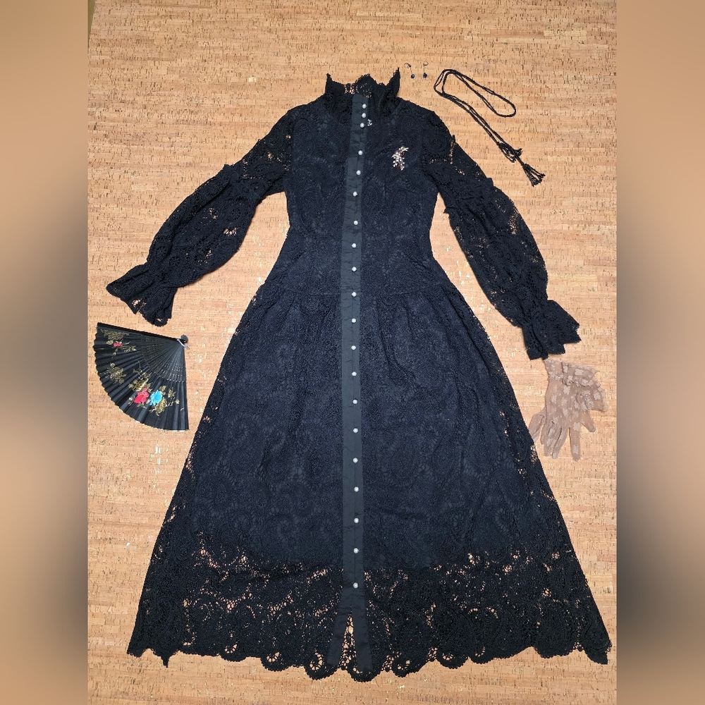 Zimmermann Black Lace Long Sleeve Dress